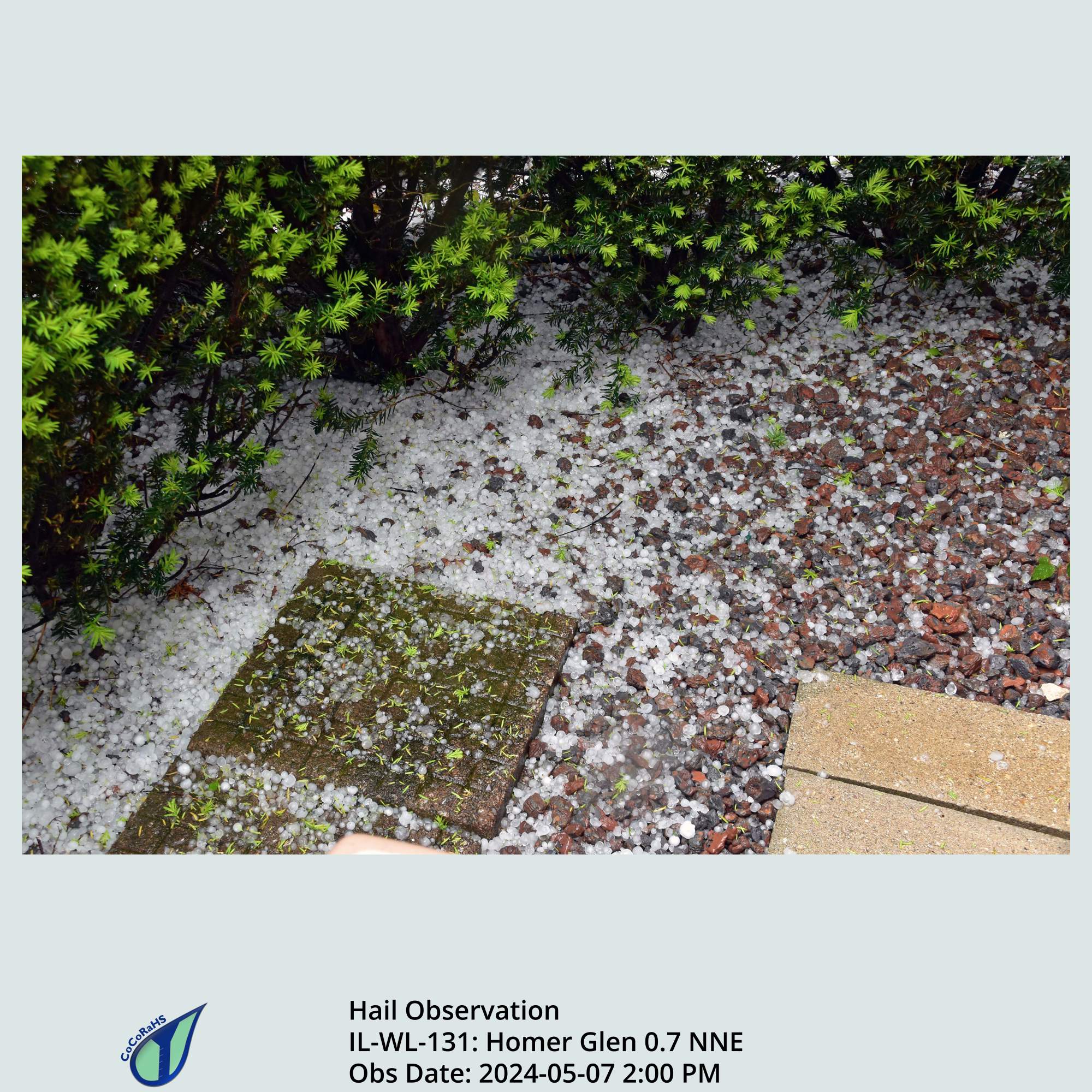 Full size version of the thumbnail.