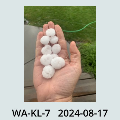 Hail Obs Photo