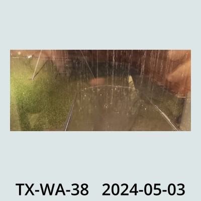 Hail Obs Photo