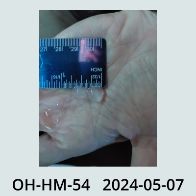 Hail Obs Photo