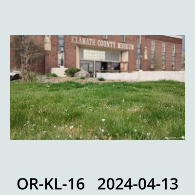 Hail Obs Photo