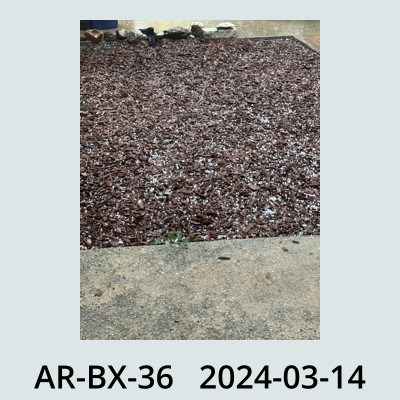 Hail Obs Photo