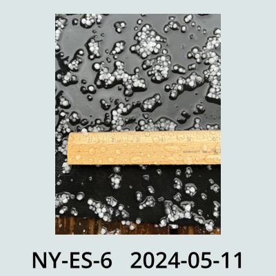 Hail Obs Photo