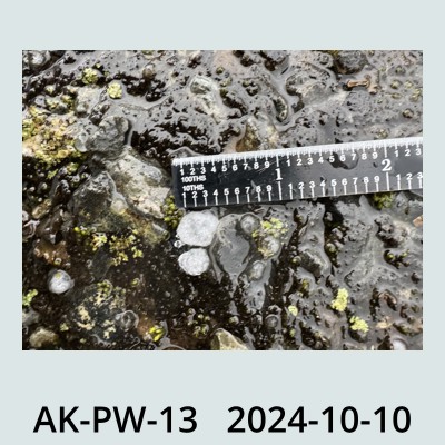 Hail Obs Photo