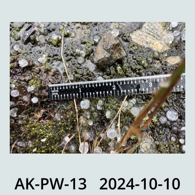 Hail Obs Photo