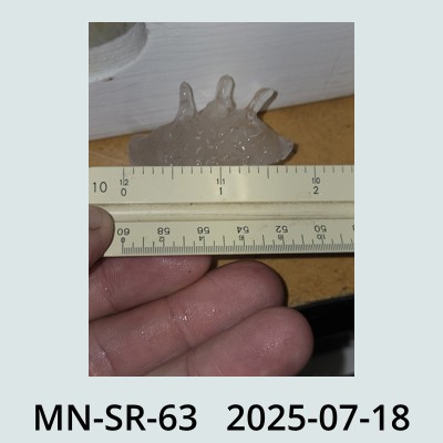 Hail Obs Photo