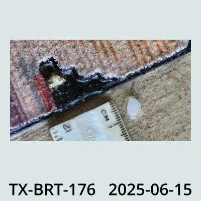Hail Obs Photo