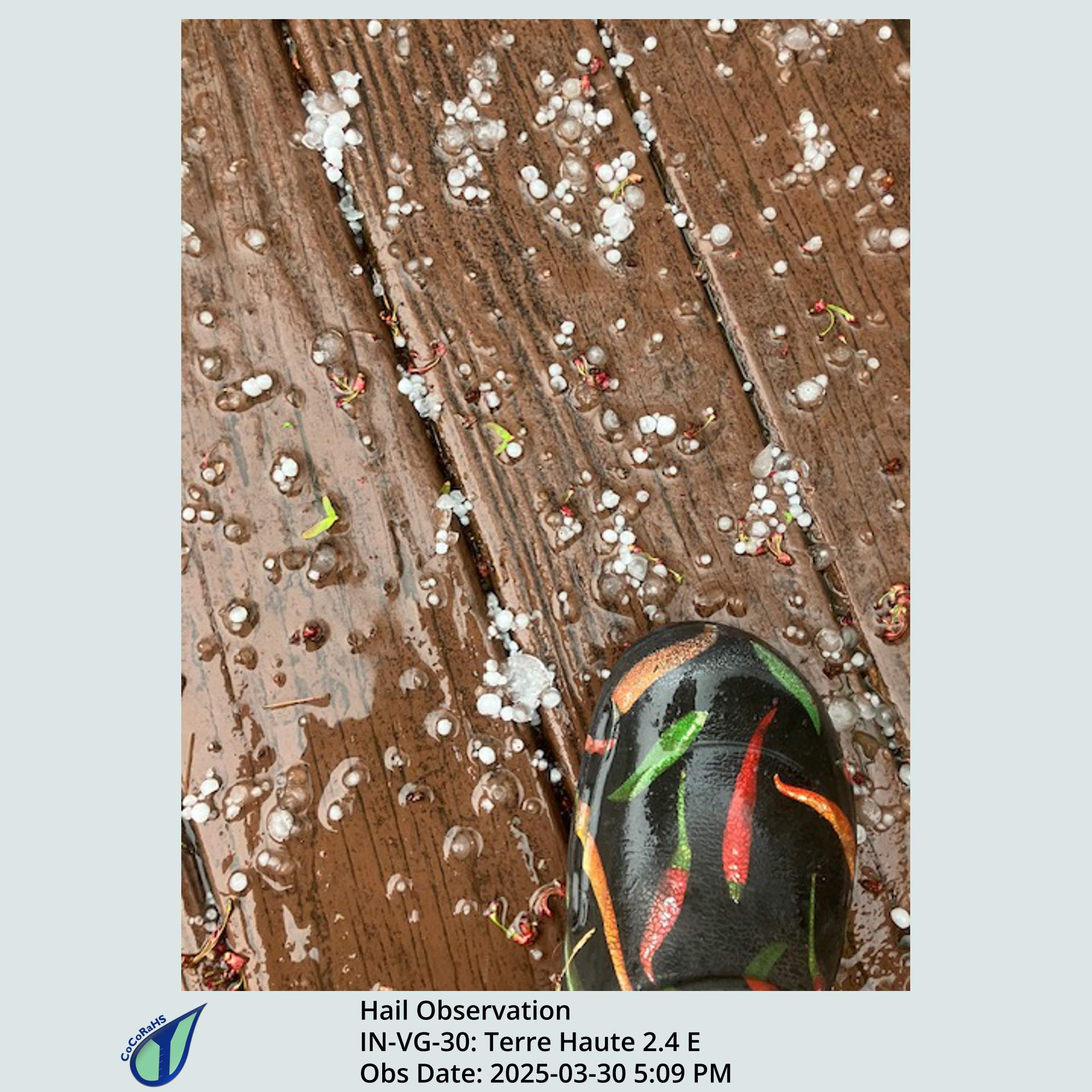 Full size version of the thumbnail.