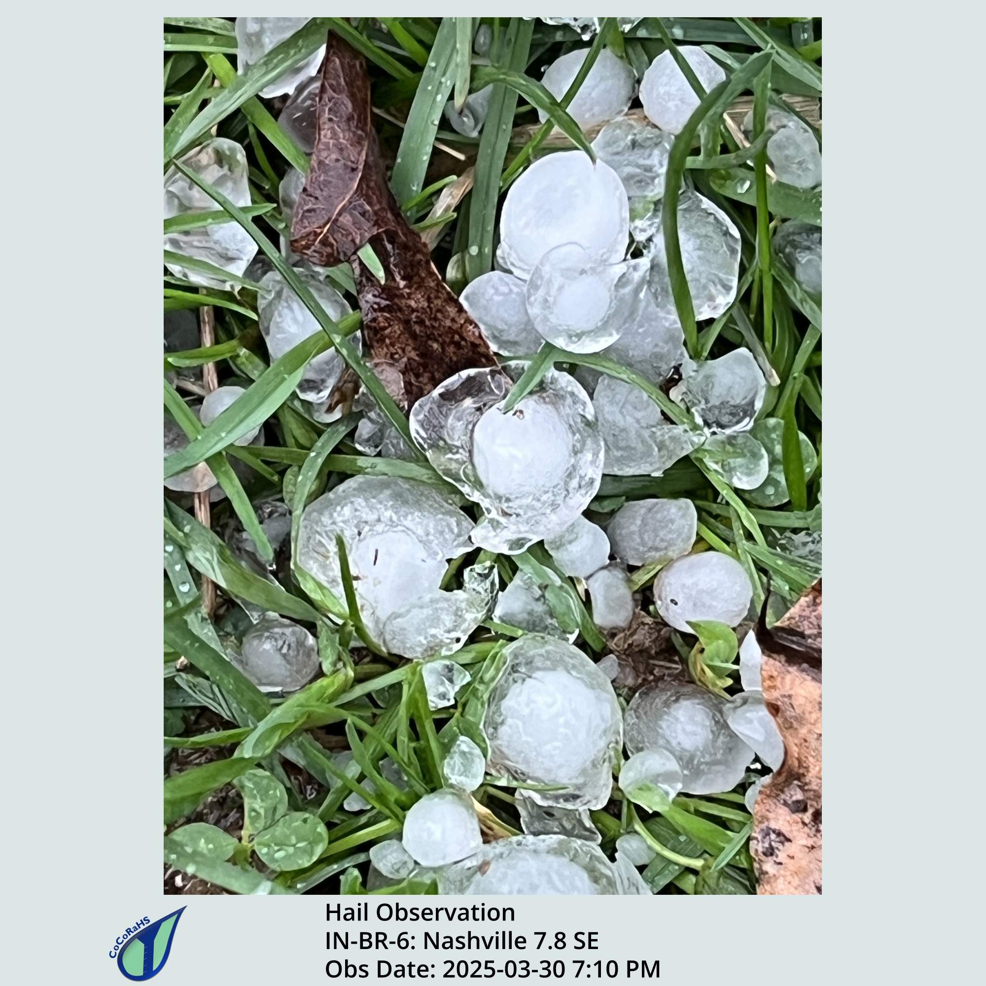 Full size version of the thumbnail.