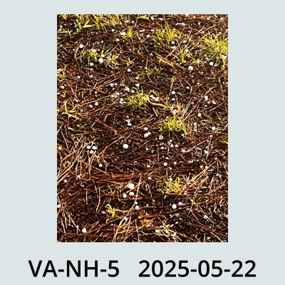 Hail Obs Photo