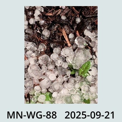 Hail Obs Photo