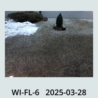 Hail Obs Photo
