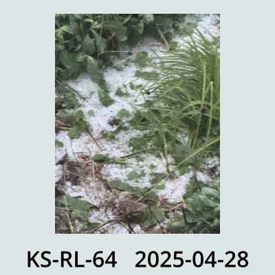 Hail Obs Photo