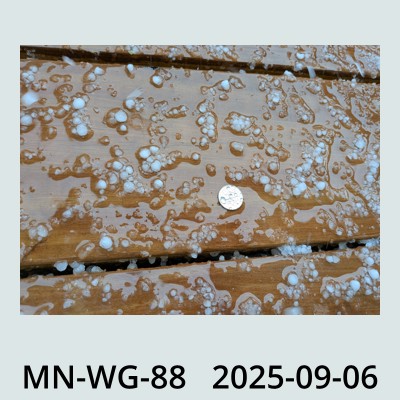 Hail Obs Photo