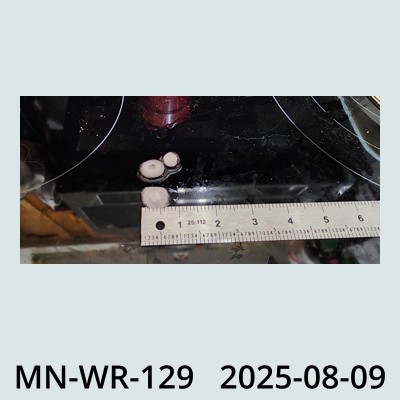 Hail Obs Photo