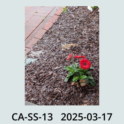 Hail Obs Photo