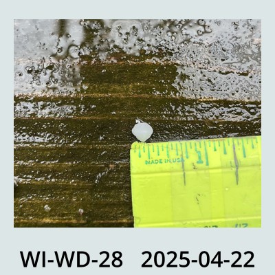 Hail Obs Photo