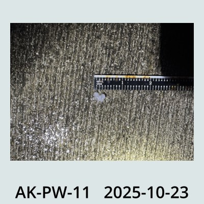 Hail Obs Photo