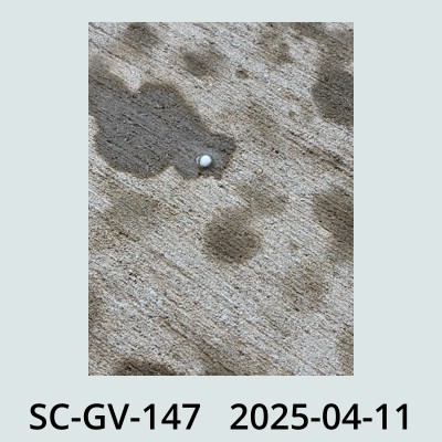 Hail Obs Photo