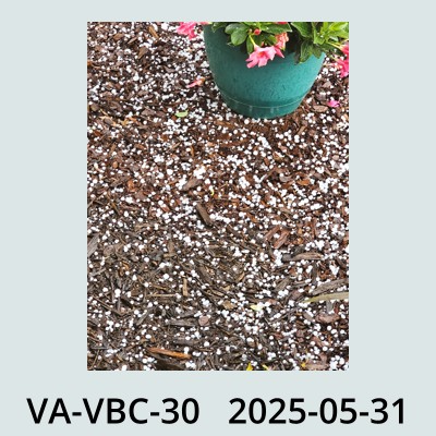 Hail Obs Photo