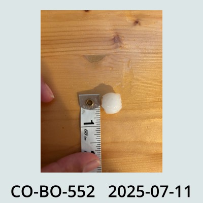 Hail Obs Photo
