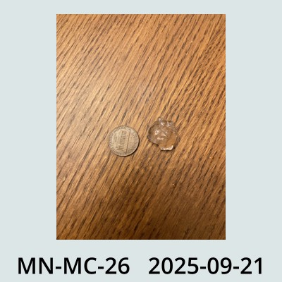 Hail Obs Photo