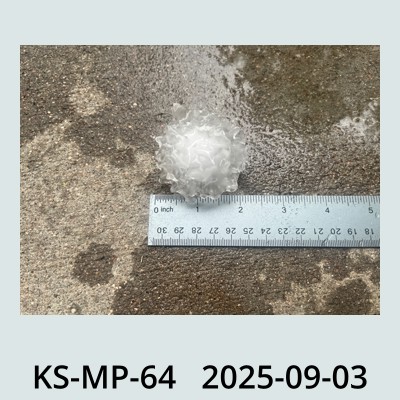 Hail Obs Photo
