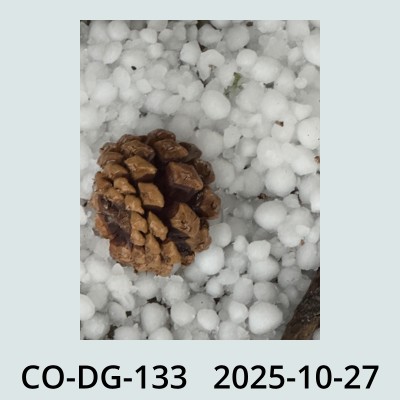 Hail Obs Photo