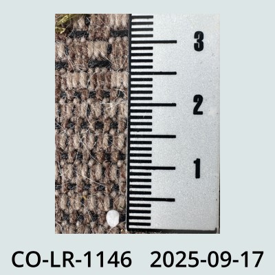 Hail Obs Photo