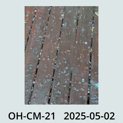 Hail Obs Photo