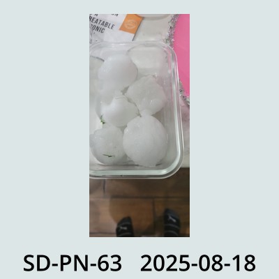 Hail Obs Photo