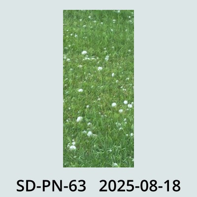 Hail Obs Photo