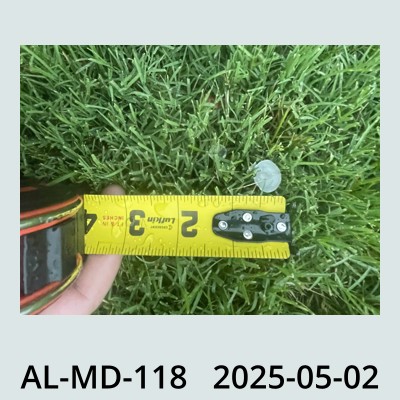 Hail Obs Photo