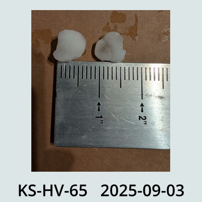Hail Obs Photo