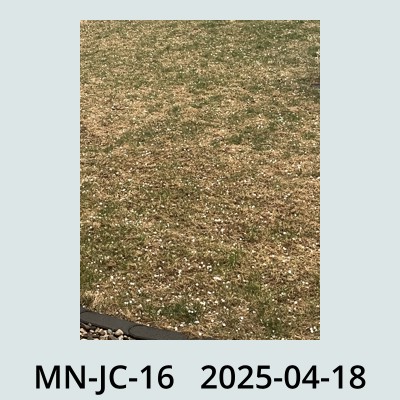 Hail Obs Photo