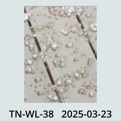 Hail Obs Photo