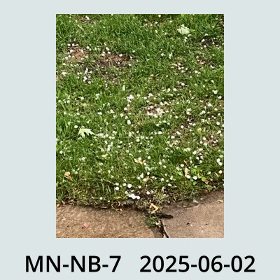 Hail Obs Photo