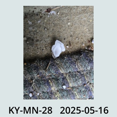 Hail Obs Photo