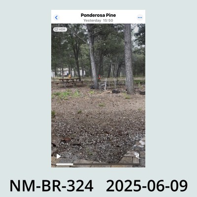 Hail Obs Photo