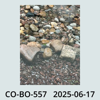 Hail Obs Photo