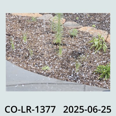 Hail Obs Photo