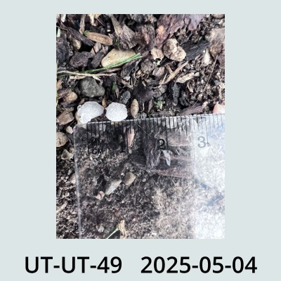 Hail Obs Photo