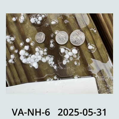 Hail Obs Photo