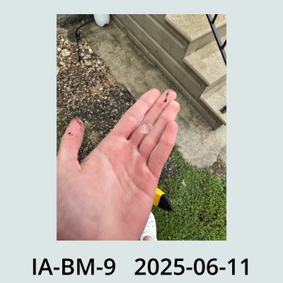Hail Obs Photo