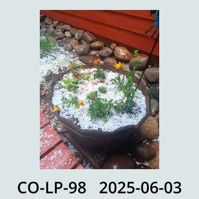 Hail Obs Photo