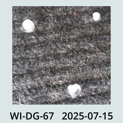Hail Obs Photo
