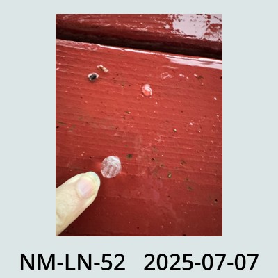 Hail Obs Photo