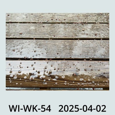 Hail Obs Photo