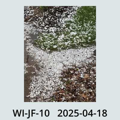 Hail Obs Photo