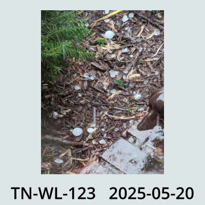 Hail Obs Photo